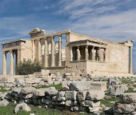 The Ancient, Sacred Olive Tree Of The Acropolis That Never Dies