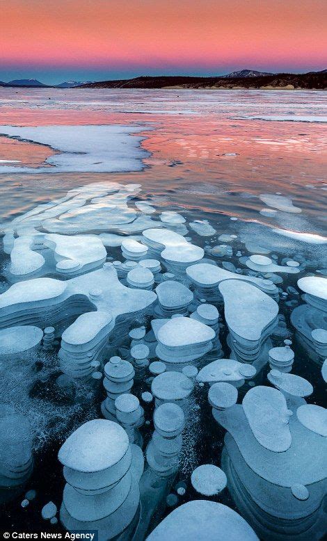 Stunning images reveal frozen bubbles lit up by Northern Lights | Amazing nature, Nature ...