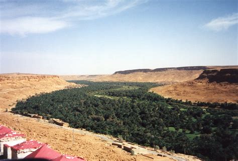 Tafilalet Morocco, Farmland, Vineyard, Explore, Trip, Outdoor, Photo ...