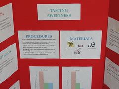 Science Fair Display Boards and Reports