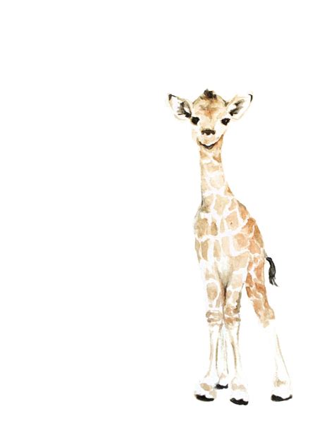 Baby Giraffe Watercolor PRINT Safari Animal Painting Baby