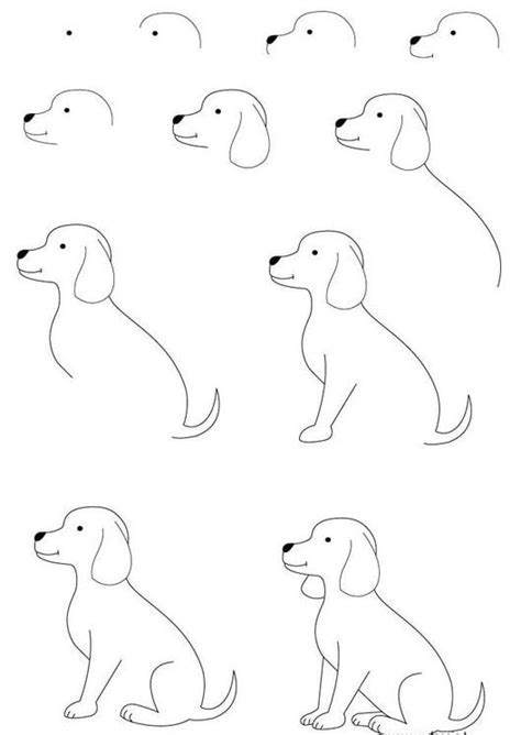 Tipikus csökkentő Söprés cute dog drawing step by step Tiszteletreméltó ...