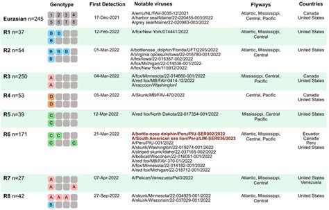 H5N1 genotypes identified in the Americas, 2021–2023 Each genotype box ...