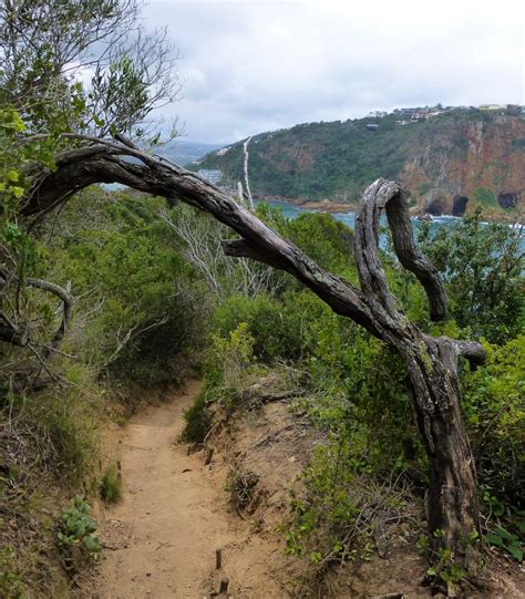 Hiking the Famous Knysna Heads - South Africa - Safe and Healthy Travel