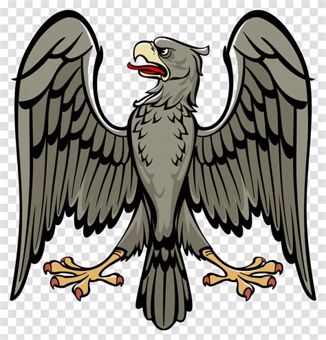 Coat Of Arms Symbols Eagle, Vulture, Bird, Animal, Condor Transparent Png – Pngset.com