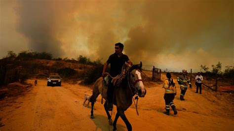 Dozens killed in Chile as forest fires rage in densely populated central areas | Euronews