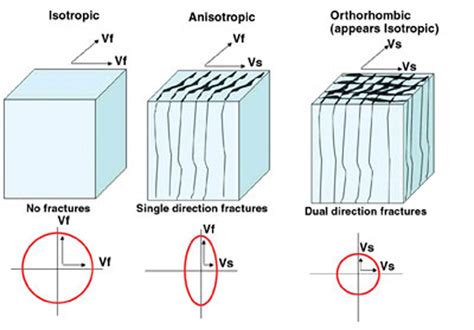 Figure 5. Isotropic vs. anisotropic effects on velocity. V f = fast S-wave velocity; V S = slow ...