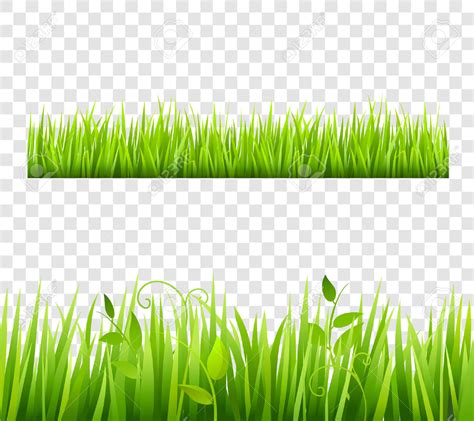 green grass border clipart - Clipground