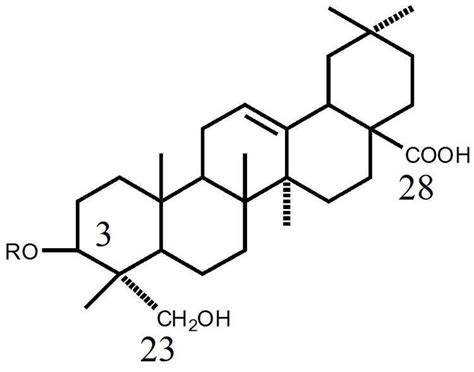 Saponin - Alchetron, The Free Social Encyclopedia