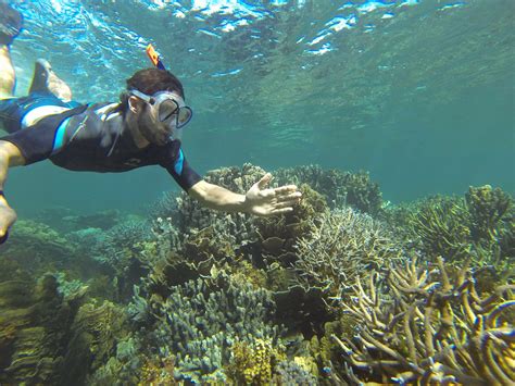 a campo traviesa: Snorkeling Coral Bay