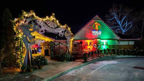 It's Wild! This Friday, Elmwood Park Zoo's Wild Lights Returns