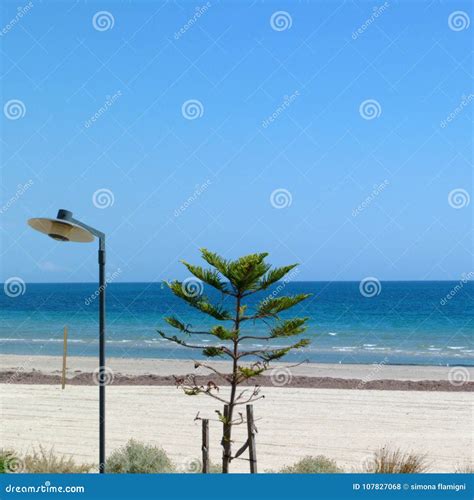 Glenelg beach in Adelaide stock photo. Image of scenic - 107827068