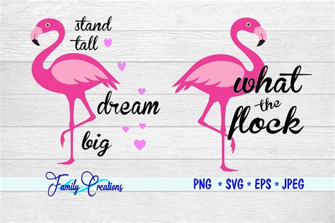 Flamingo Sayings v8 By Family Creations | TheHungryJPEG