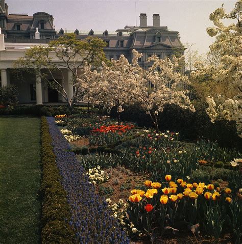 History of the White House Rose Garden - The Rose Garden's Design