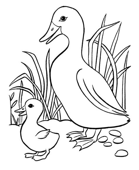 BlueBonkers: Easter Ducks Coloring Page Sheets - 14 - Easter mother duck and her cute baby ...