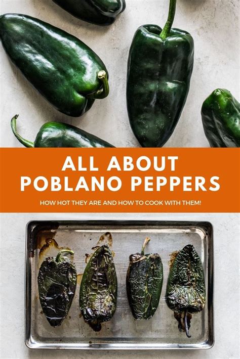 Poblano Peppers and How to Use Them in Recipes - Isabel Eats