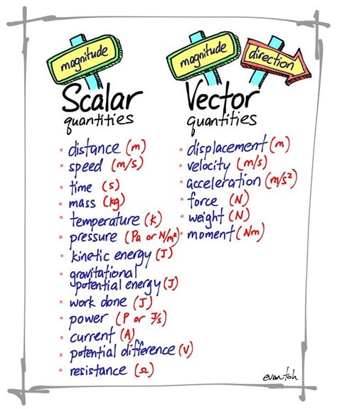 Is Time a Vector or a Scalar Quantity