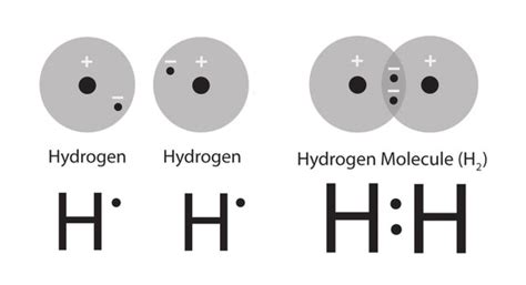 Draw electron dot model of the following molecule Hydrogen molecule - Science - Carbon and its ...