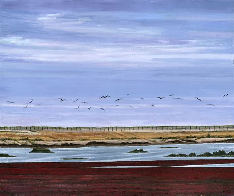 Rye Harbour birds - Lisa Punter Art