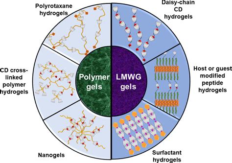 Supramolecular Hydrogels Based on Cyclodextrins: Progress and Perspectives - Jain - 2022 ...