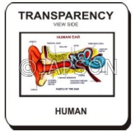 OHP/Overhead Projector - Transparencies/Slide