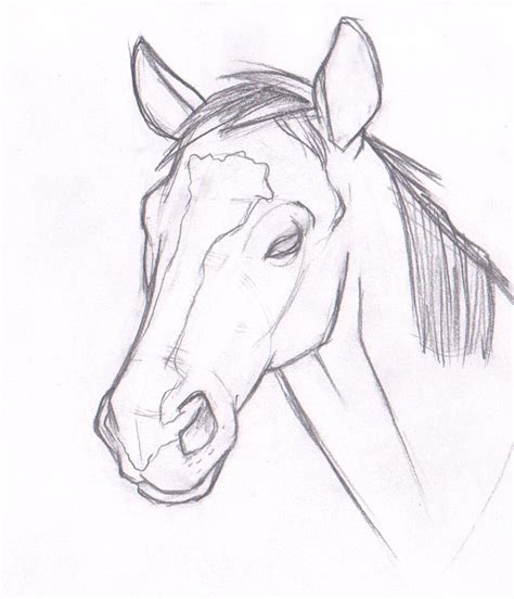 Head Horse Drawing at GetDrawings | Free download