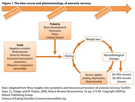 Symptoms in Anorexia: Cause or Consequence? – Science of Eating Disorders