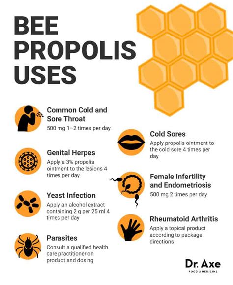 Top 6 Bee Propolis Benefits & Bee Propolis Uses - Dr. Axe