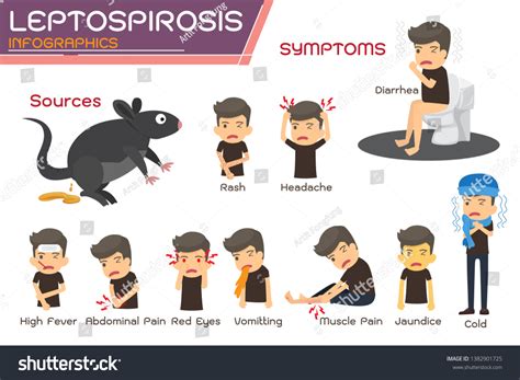 Leptospirosis Infographics Leptospirosis About Symptoms Prevention ...