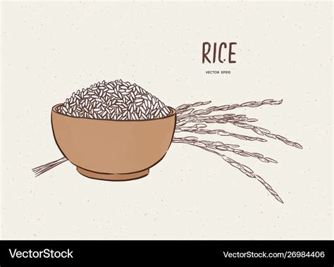 Rice in bowl with branch hand draw sketch Vector Image