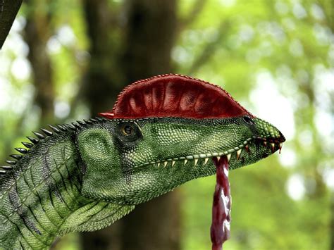 10 Facts About Dilophosaurus