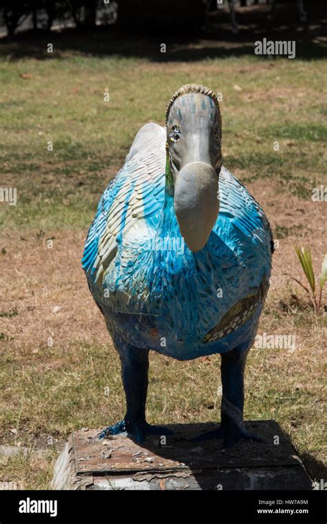 Dodo bird museum hi-res stock photography and images - Alamy