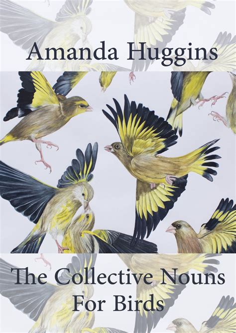 The Collective Nouns for Birds: a review – Ali Thurm