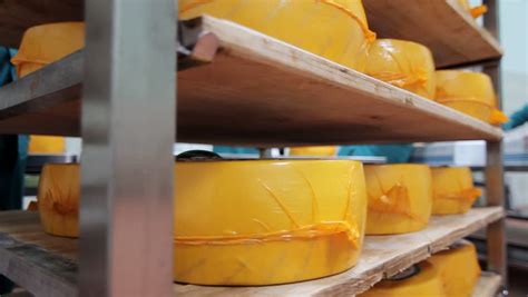 Cheese Factory and cheese products image - Free stock photo - Public ...