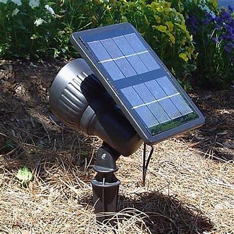 Solar Landscape Lighting - Solar Powered Outdoor Designs | Lamps Plus