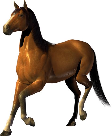 horse png image, free download picture, transparent background transparent image download, size ...