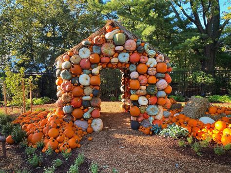 Franklin Park Conservatory Will Be A Candlelit Wonderland For Pumpkins ...