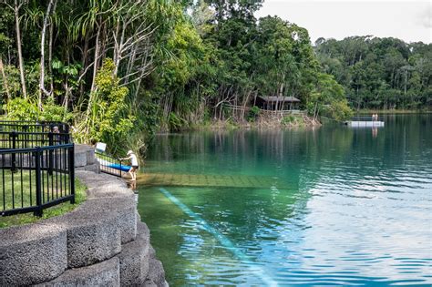 Lake Eacham day-use area | Crater Lakes National Park | Parks and ...