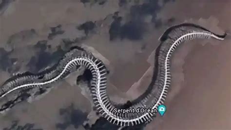 Giant snake skeleton found on Google Maps: Here’s the truth behind the viral pic | Today News