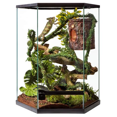 DIY Reptile Enclosure Guide - Reptile Care - All Pet Care