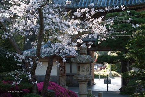 Beautiful San Francisco Gardens - Self-Guided Day Trip | Garden Design