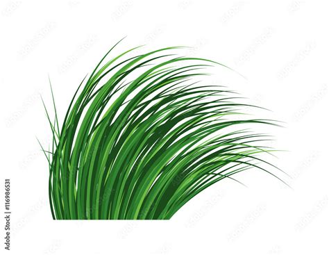 Grass vector illustration. Stock Vector | Adobe Stock