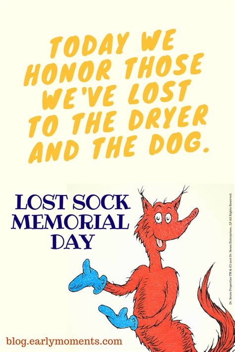 It's Lost Sock Memorial Day and Fox in Socks is observing diligently ...