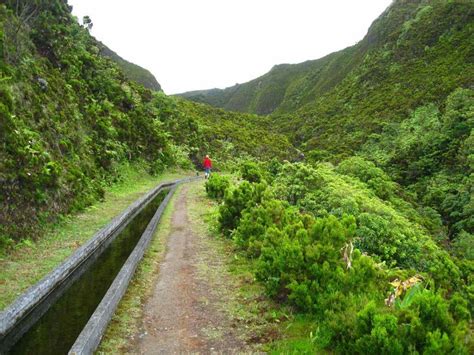 Hiking in Azores: All You Need To Know [Plus Best Hikes in Azores!] | Best hikes, Country roads ...