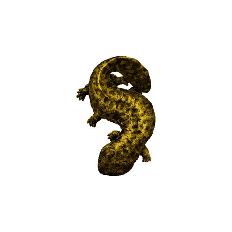 Giant Salamander, Photo Clipart, Png Photo, Hd Photos, Png Images, Giants, Photo Image, Clip Art ...