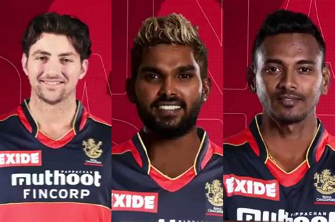 IPL 2021: RCB Rope In Wanindu Hasaranga, Dushmantha Chameera And Tim David For The UAE Leg ...