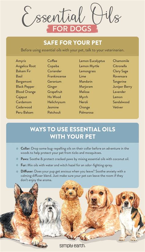 Pet Safe Essential Oils - Cat Meme Stock Pictures and Photos