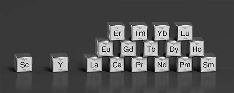 Are heavy metals toxic? Scientists find surprising clues in yeast ...