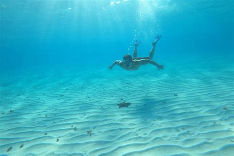 Cozumel Snorkeling Guide for December 2023 | Island Life Mexico