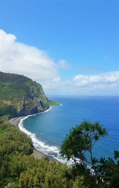 WAIPIO VALLEY ROAD 🌴 Hike OR drive to Waipio Valley beach OR just see ...